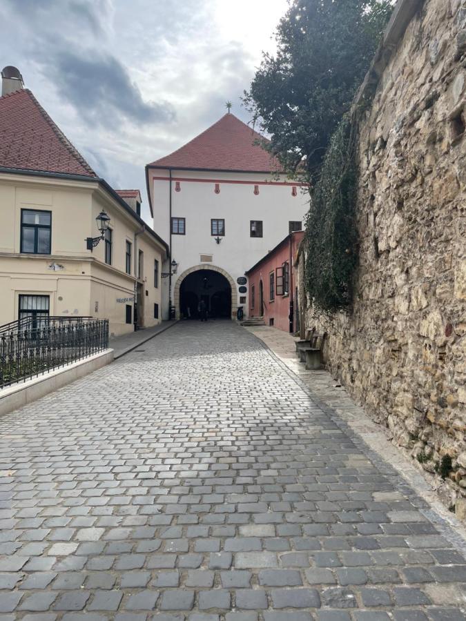 Grich Witch Apartment Zágráb Kültér fotó